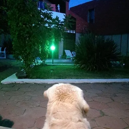 Aniak 2*
